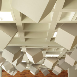 Acoustic ceiling systems | Ceiling